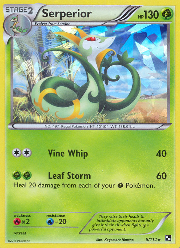 Black & White Holo Serperior #5/114 Cracked Ice Holo