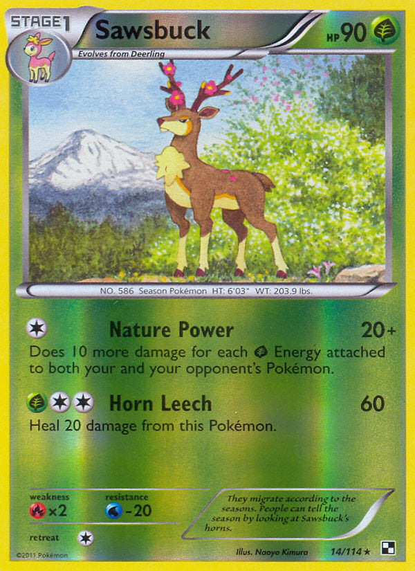 Black & White Sawsbuck #14/114 reverse holo
