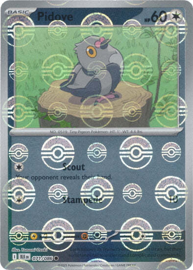 Black Bolt Pidove #71/86 Pokeball Holo