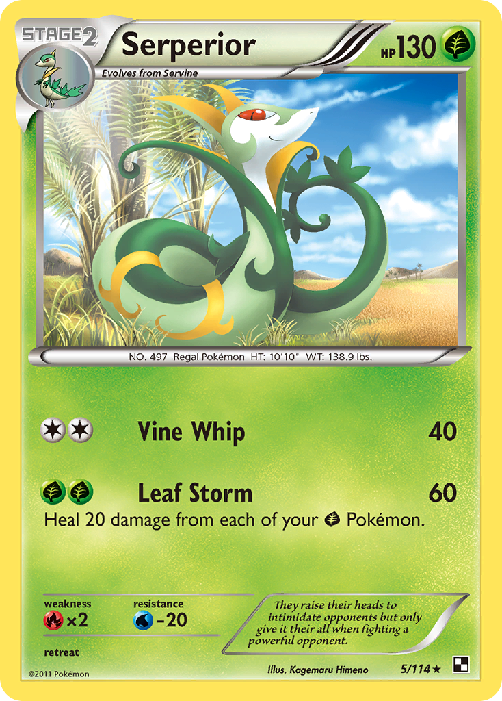 Black & White Non - Holo Serperior #5/114