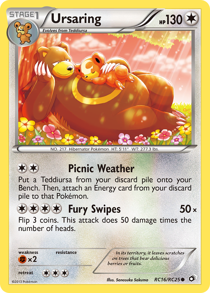 Radiant Collection Ursaring #16/25
