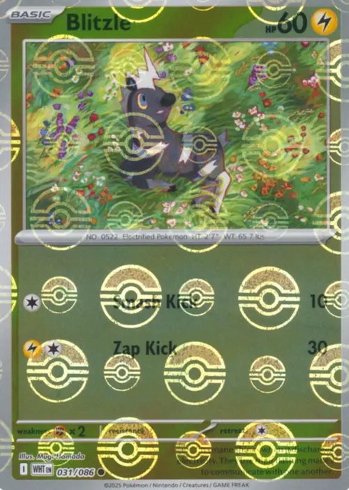White Flare Blitzle #31/86 Pokeball Holo